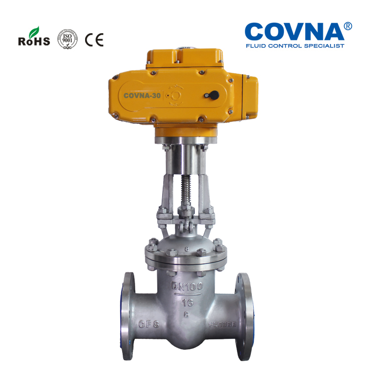 Motorized flange gate valve (1).jpg